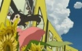 宫崎骏风格的动画《外婆家的向日葵》