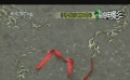 爱电影（2008-29期）爱拍电影视频