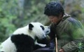 《熊猫回家路》国宝的历险记 领略神奇的卧龙风光