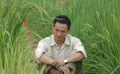 電影《袁隆平》5月公映 再現(xiàn)“米菩薩”傳奇人生