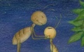 不速之客打破《瓜田》宁静 数次打断昆虫恋人亲热