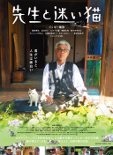 德媒调查：超7成投票者认为，凯恩将打破莱万单赛季德甲41球纪录