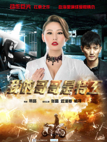 我的哥哥是特工