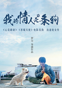 我的情人是条狗