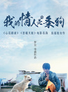 我的情人是条狗