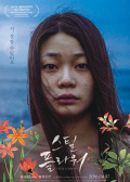 钢铁花