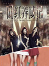 網(wǎng)紅養(yǎng)成記
