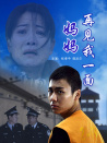 妈妈再见我一面