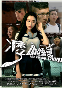 东北往事之痞子训练营