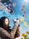 表殼里的葵花