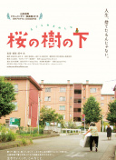 莲藕七孔和九孔的区别