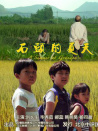 石頭的夏天