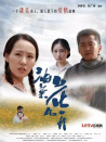 油菜花兒開