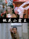 桃花小霸王