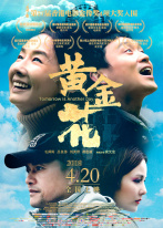 黄金花 黄金花