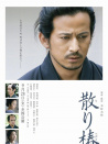 山茶花飄零