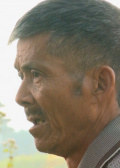 高十