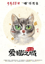 爱猫之城 爱猫之城