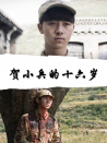 贺小兵的十六岁