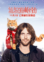 流浪猫鲍勃 流浪猫鲍勃