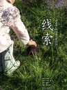 線索