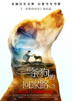 一条狗的回家路 一条狗的回家路