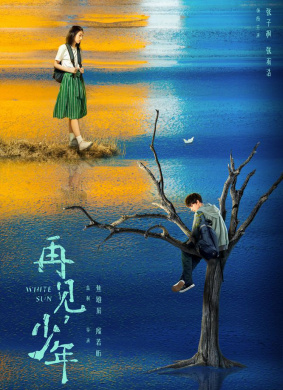 再见,少年