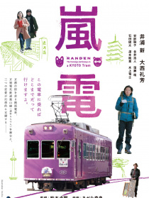 岚电