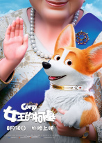 女王的柯基 女王的柯基