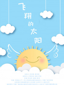 飞翔的太阳