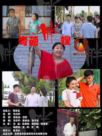奇葩胖嫂