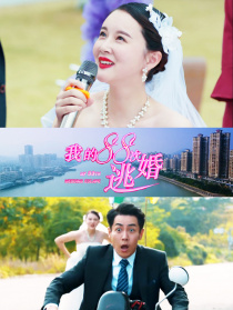 我的88次逃婚