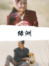 绿洲