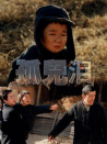 孤兒淚