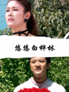 悠悠白樺林