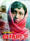白杨树下