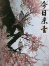 射雕英雄傳之九陰白骨爪