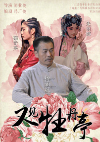 又見(jiàn)牡丹亭