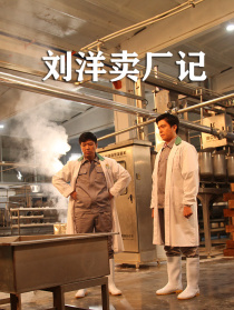 刘洋卖厂记