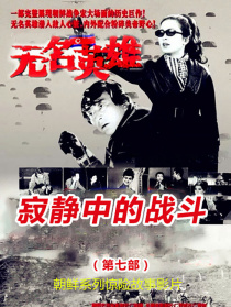 無名英雄·第七部