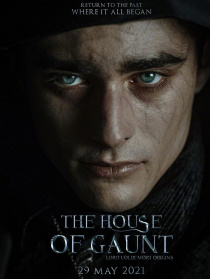 冈特家族：伏地魔起源