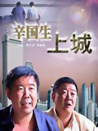 辛國生上城
