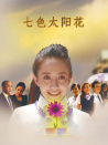 七色太阳花
