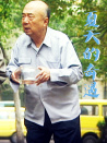 夏天的奇遇