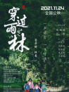 穿過雨林