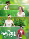 小敏的村官生活