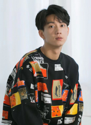 王子奇