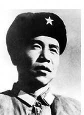 柴山林