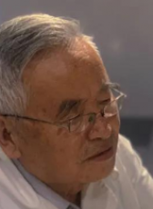 胡裴
