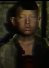 劉強